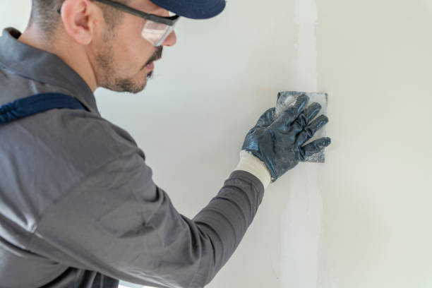 Best Wallpaper Removal and Painting  in Boulder Creek, CA