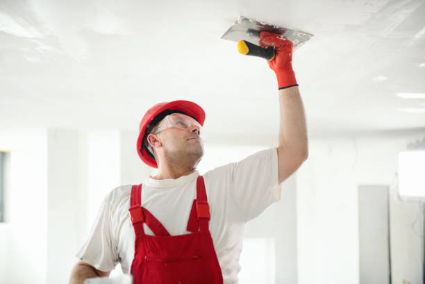  Boulder Creek, CA Dry wall and painting Pros